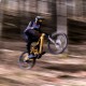 EVEN EX 29-650b - carbone