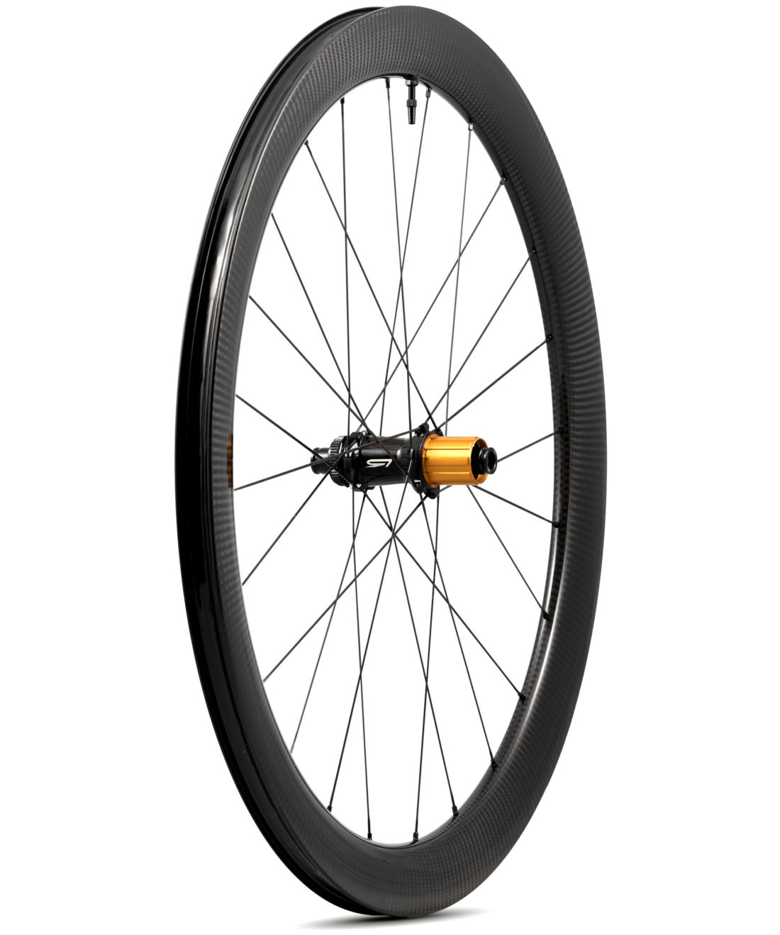 Déco roue RAR AVANT 2022 B